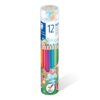 CRAYON COUL DE TUBE 12