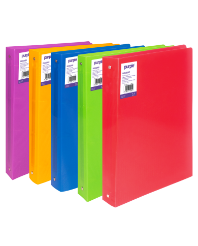 MINI CLASSEUR 4ANN D20 PLASTIQUE PURPLE