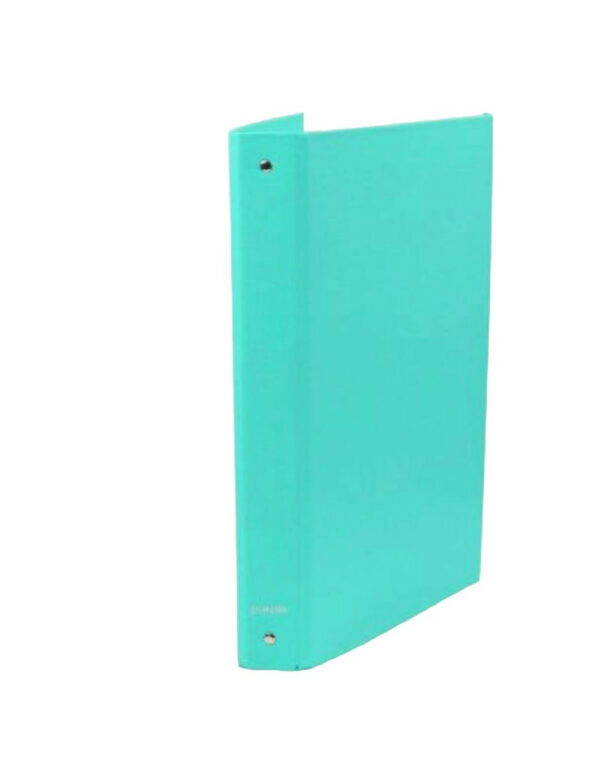 CLASSEUR 4A CARTONNE D40 VERT PASTEL