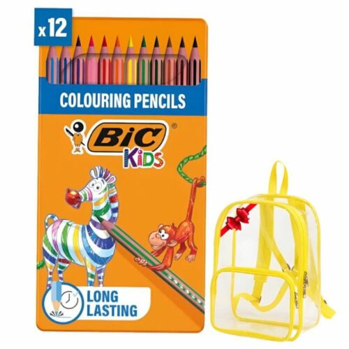 CRAYON COUL 12/18 EVOLUTION STRIPES BIC